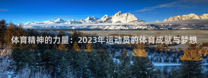 yy易游官网下载招商电话号码是多少:体育精神的力量:2023