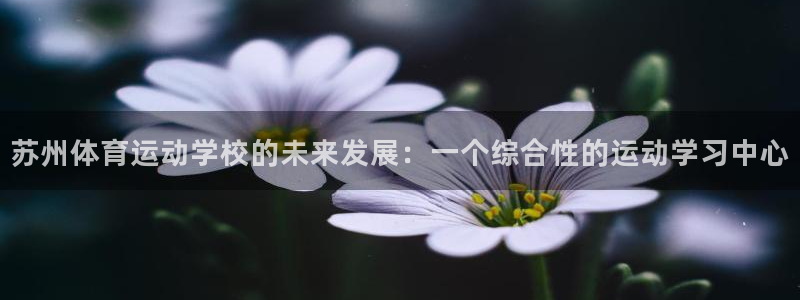 yy易游官网下载平台假的吗是真的吗吗:苏州体育运动学校的未来