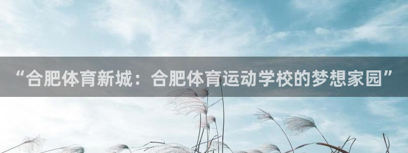 yy易游官网下载招商电话是多少:“合肥体育新城:合肥体育运动